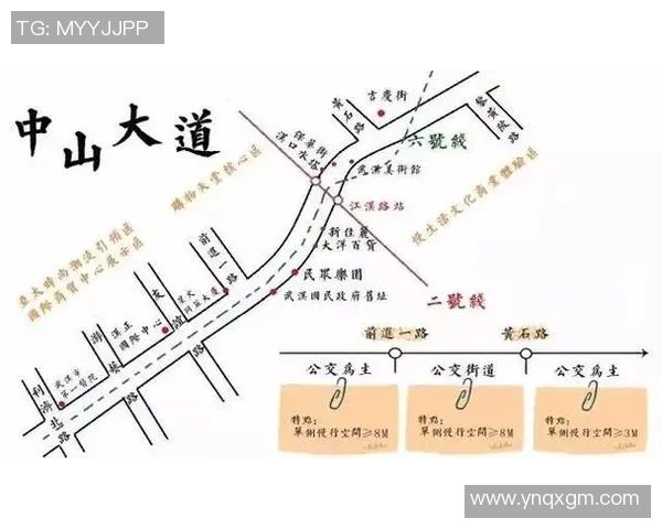 武汉篮球队防守革新之路探索与实践分析