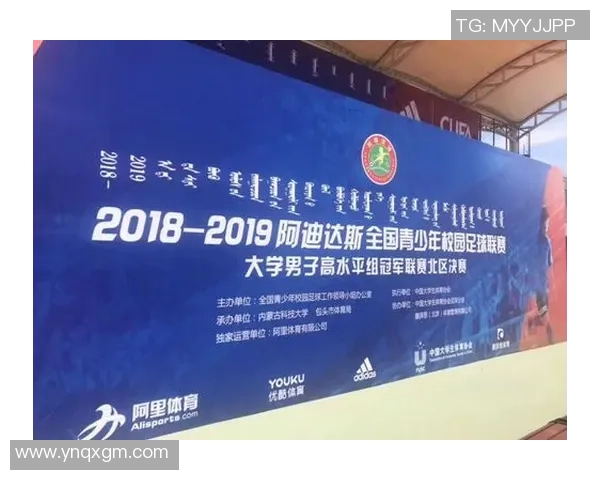 北京足球队总决赛战术分析与表现评估全面解读